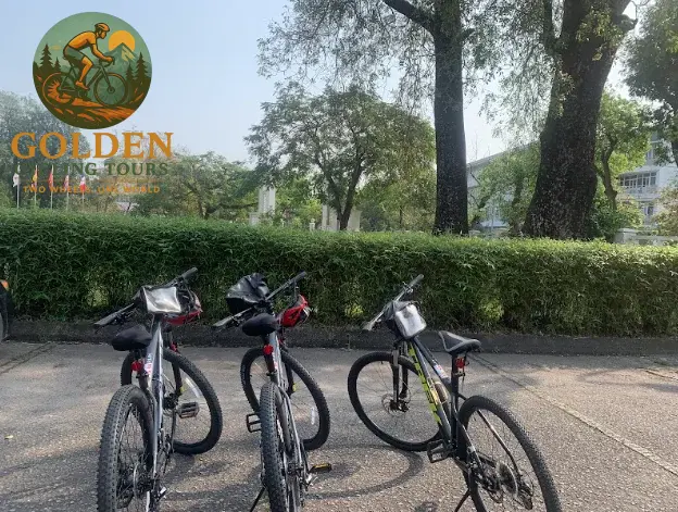 Half-Day Biking to Thuy Bieu Village: Garden Houses & River Cruise
